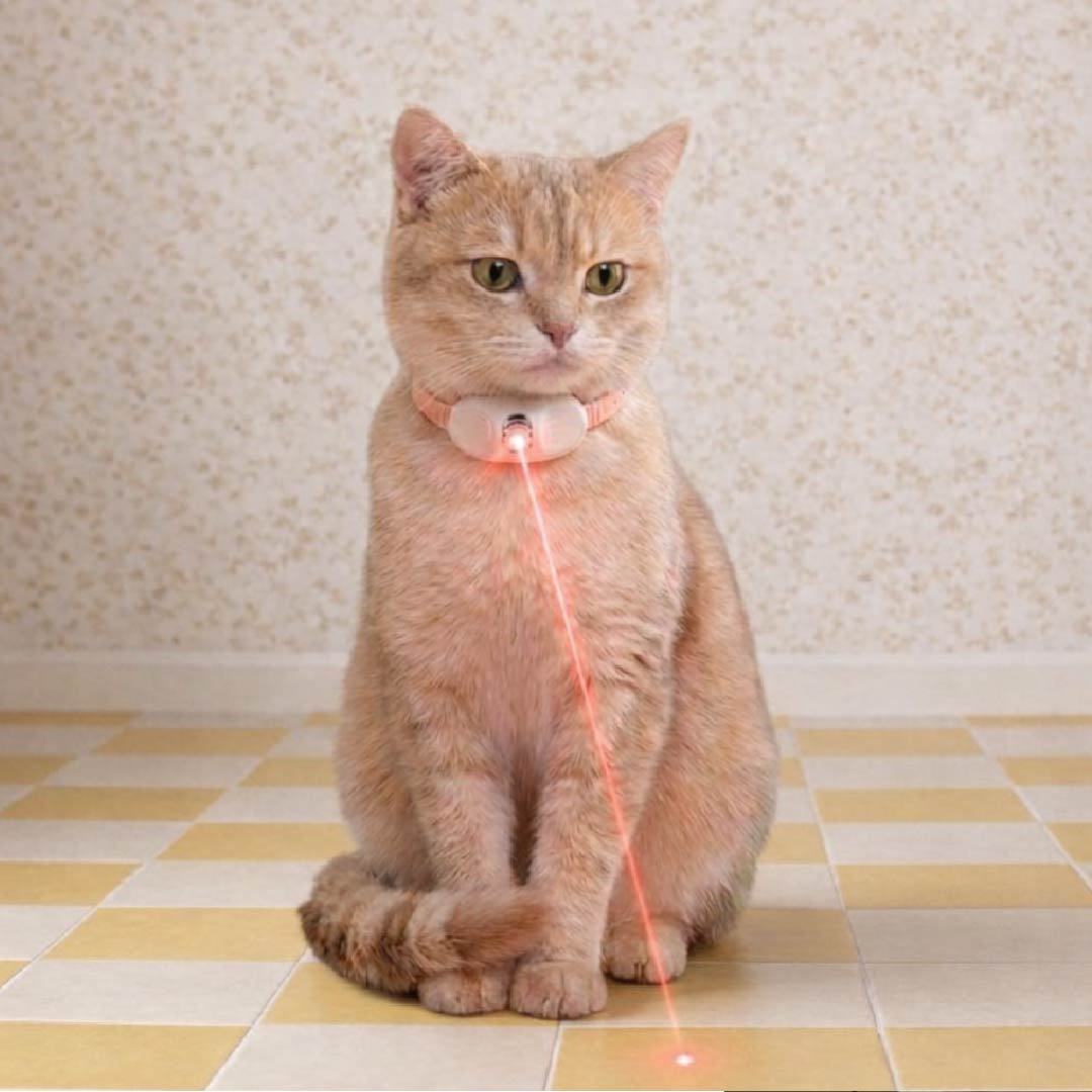 Chamak Collar – Interactive Laser Play Collar for Active Cats