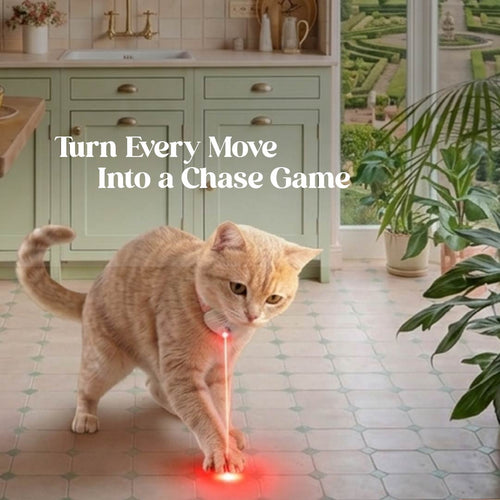 Chamak Collar – Interactive Laser Play Collar for Active Cats