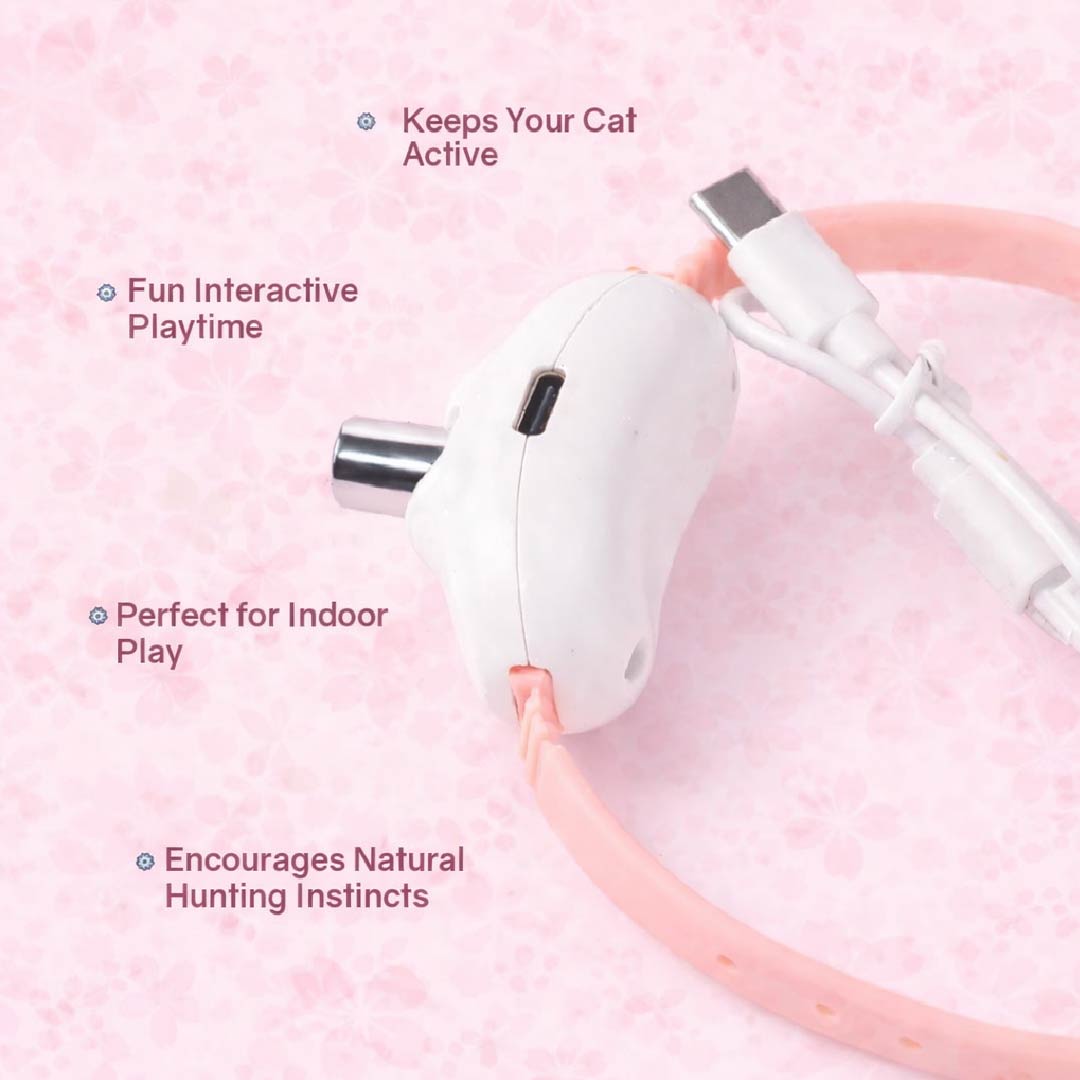 Chamak Collar – Interactive Laser Play Collar for Active Cats