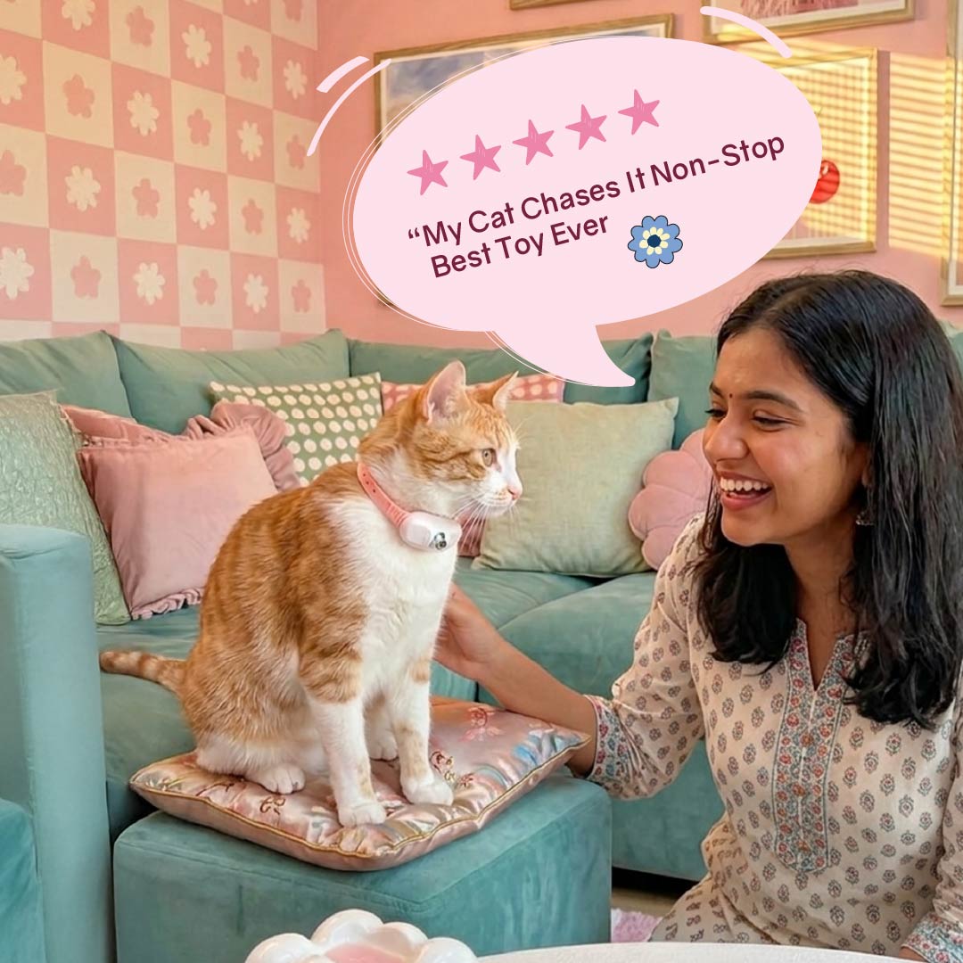 Chamak Collar – Interactive Laser Play Collar for Active Cats