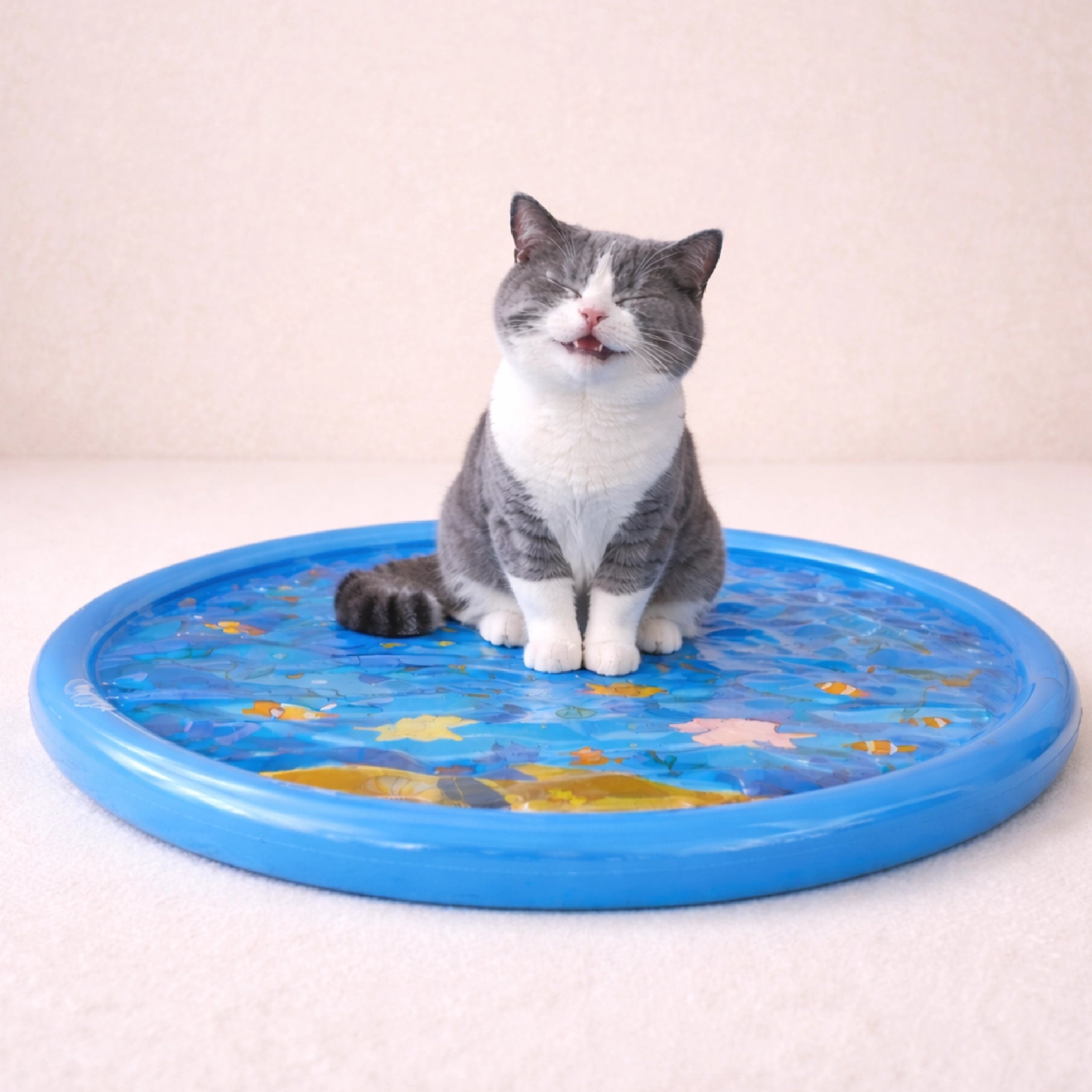 Tarang Cooling Bed | Water Cooling Play Bed for Cats