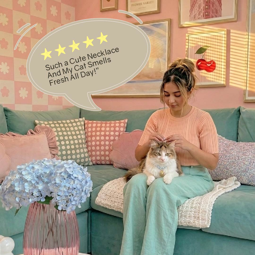 Noor Necklace – Luxury Fragrance Necklace for Cats