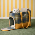 Aanchal | Comfort That Moves With You for Puppies & Cats (Up to 7 kg)