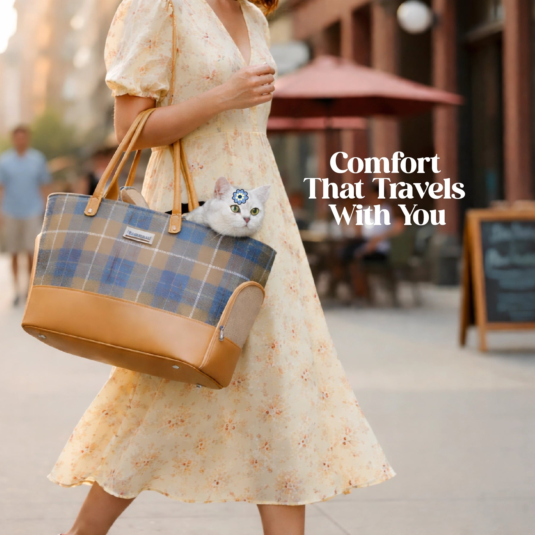 Aanchal | Comfort That Moves With You for Puppies & Cats (Up to 7 kg)