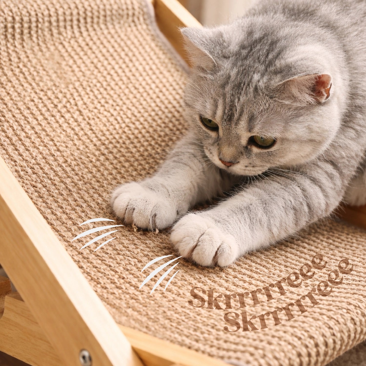 Scratch Baithak – Cat Scratcher & Relax Bed for Play & Comfort