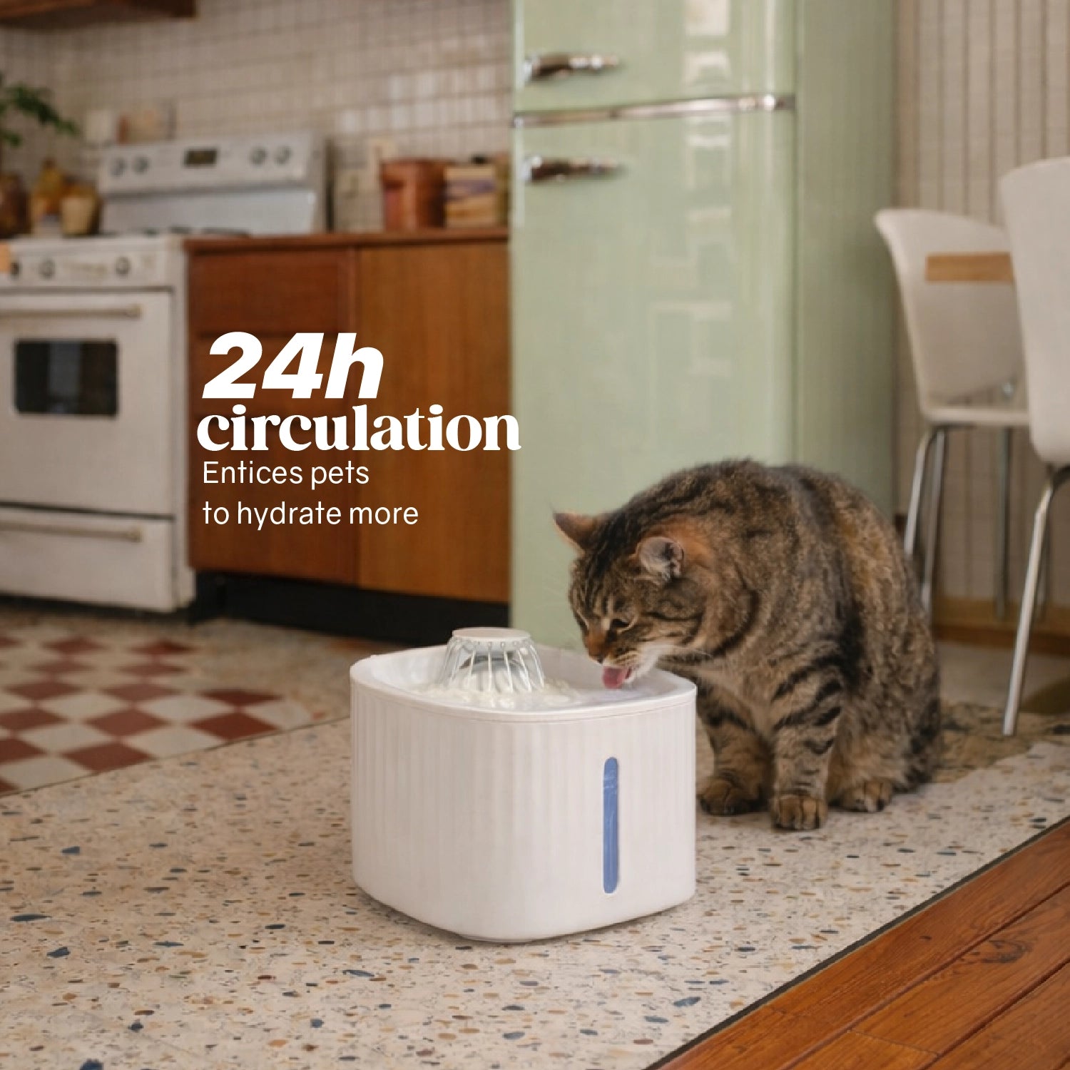 Neer Fountain – Continuous Flow Cat Water Fountain for Healthier Hydration